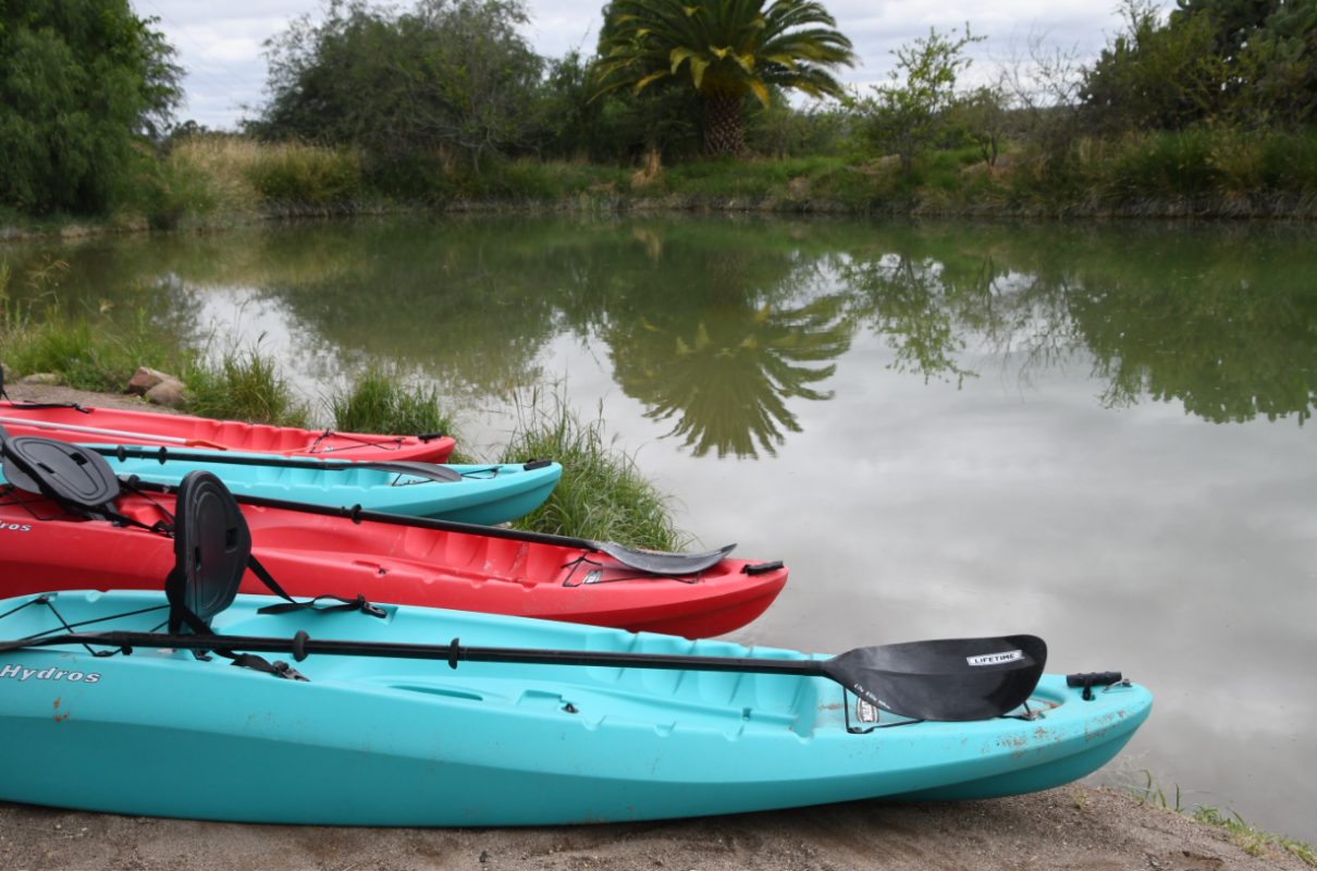 Kayaks