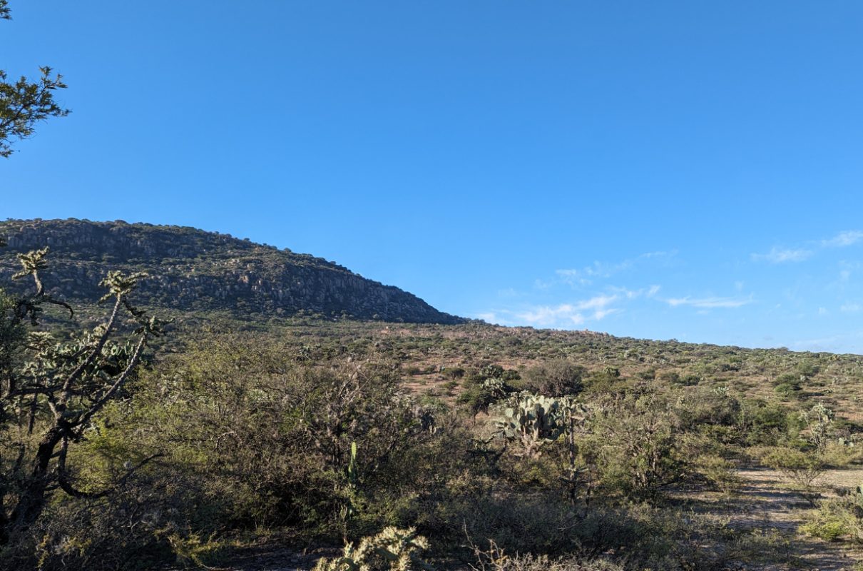 Vista desde el cerro